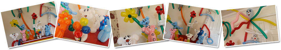 zippy-junior-balloon-modeller